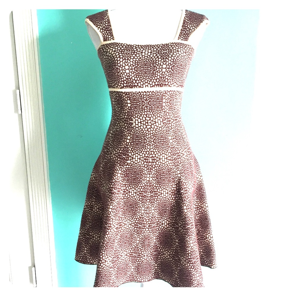 Issa London Patterened Knit Flare Dress